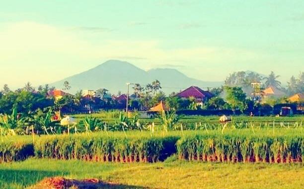 The Hideaway Canggu Exterior foto